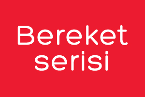 Bereket Serisi